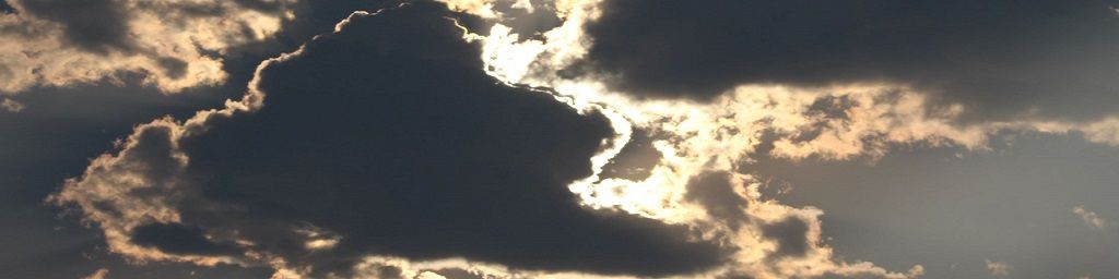 tachyglossus's banner