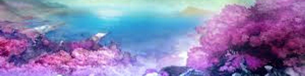 Soul's banner