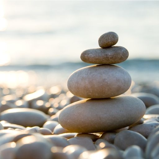 alltherocks's profile picture