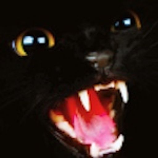 AbruptlyMystic's profile picture