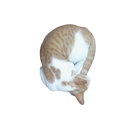 AbsentSomewhere's profile picture